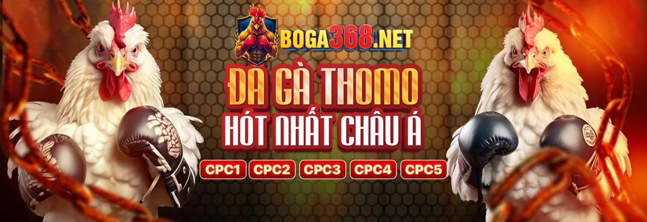 Tin tức 8kbe link mới nhất